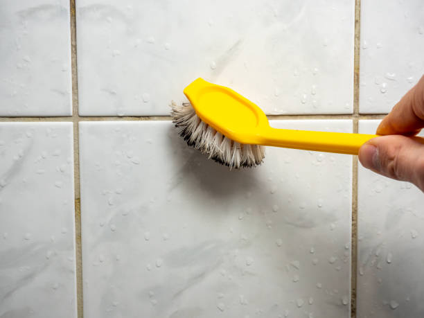 Best Mold Removal Company Near Me  in Montura, FL