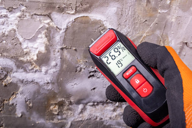 Best Fast Mold Removal  in Montura, FL