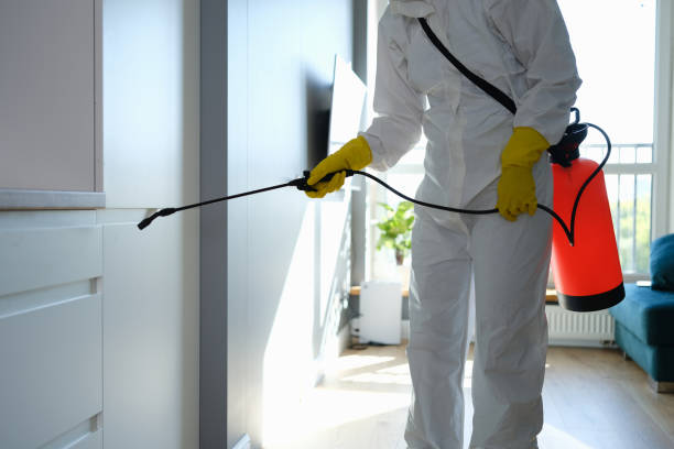 Best Mold Cleaning Services  in Montura, FL