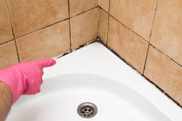 Best Residential Mold Removal  in Montura, FL
